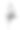 Paintography。黑色和白色的植物细节画结合了一个时尚的年轻人的侧面肖像图片下载