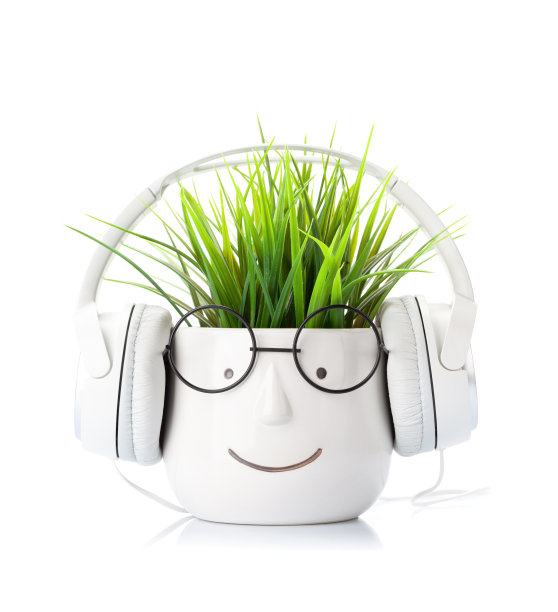 桌子上有书，植物和眼镜图片下载