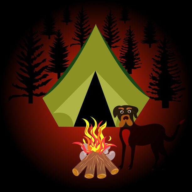 晚上露营的概念图片下载