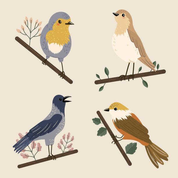 彩色鸟类设置插图矢量插图图片下载