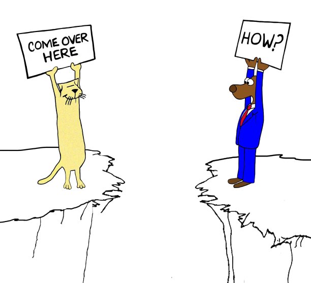 狗和猫想聚在一起图片下载