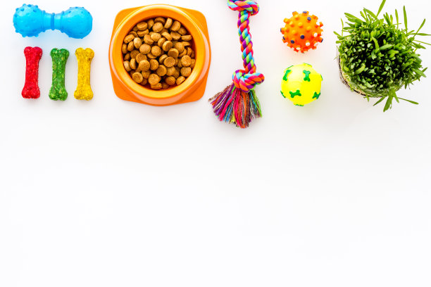 宠物配件与狗和猫的食物和玩具，俯视图图片下载