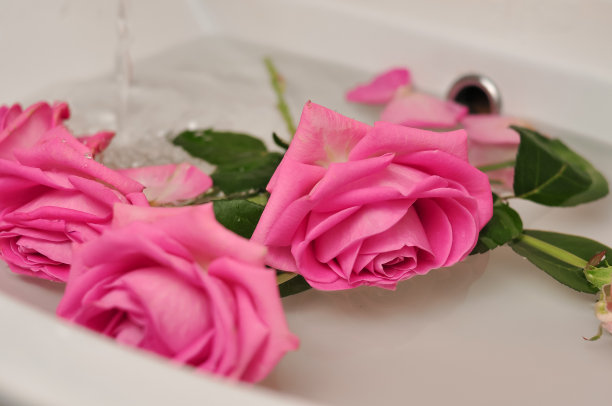 一杯葡萄酒和一束粉红色的玫瑰放在水槽里图片下载