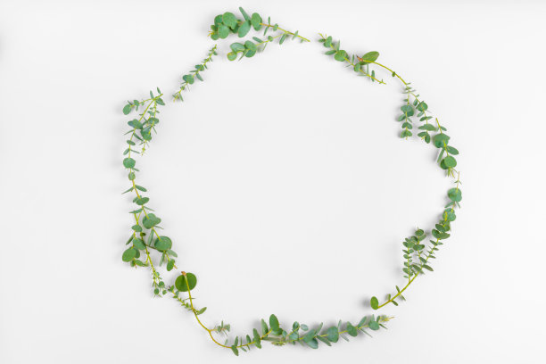 分枝花的背景和叶孤立在白色的背景上。平躺，俯视图图片下载