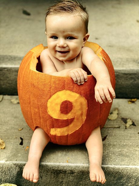 南瓜的孩子图片下载