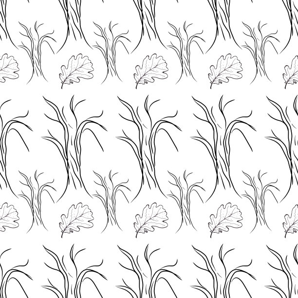 秋季无缝花卉图案。手绘插图。白色bachground图片下载