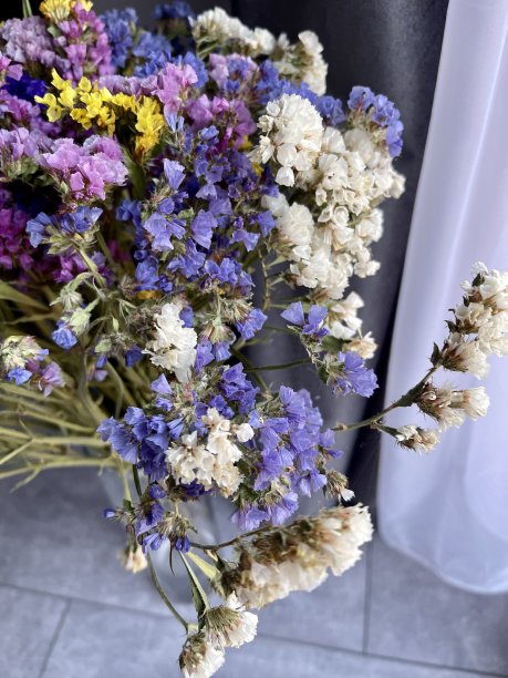 特写的一束野花图片下载