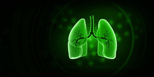 人类肺部解剖图片下载