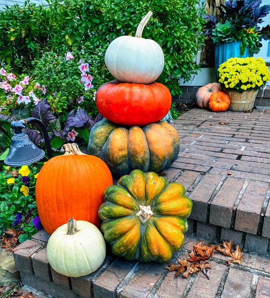 秋天南瓜装饰图片下载