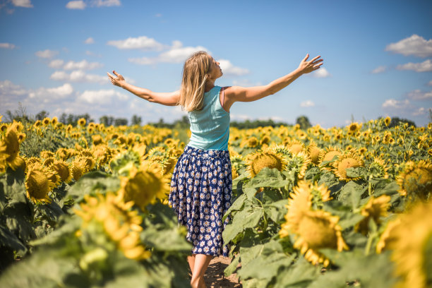美丽阳光下的女人在黄色向日葵田自由和幸福的概念。快乐的女孩在户外图片下载