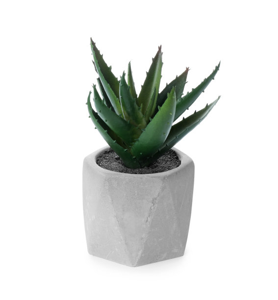 白色花盆中美丽的人工植物图片下载