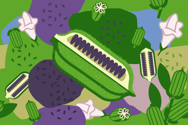 芝麻和种子元素无缝抽象图案矢量设计背景图片下载