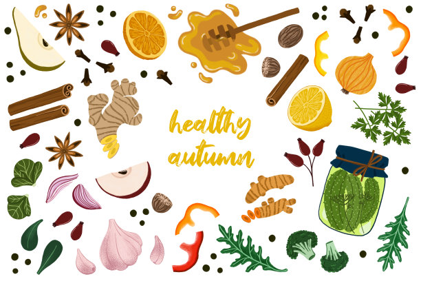健康的秋季精选秋季超级食物图片下载