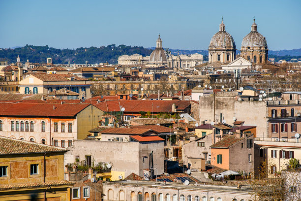 从阿凡廷山上俯瞰罗马屋顶的令人联想和详细的景象图片下载