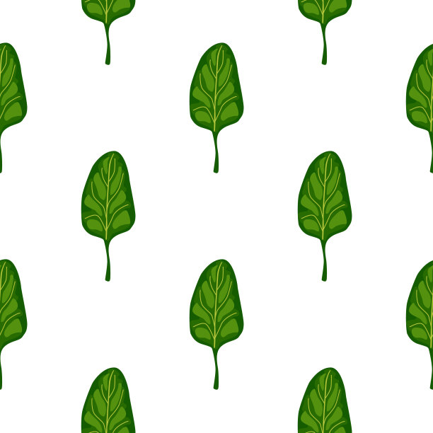 无缝模式菠菜沙拉在白色的背景。生菜的极简装饰。图片下载