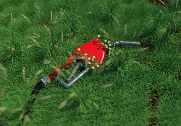 燃油汽油分配器在草地上，从那里的花已经生长。图片下载