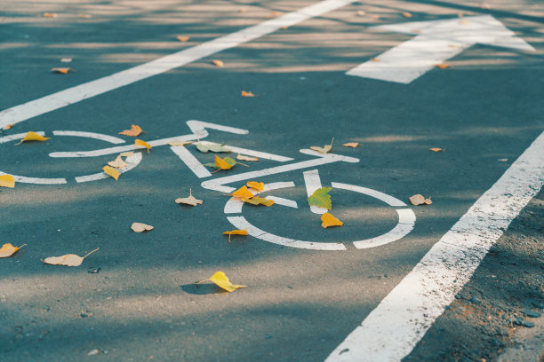 秋天的自行车道，黄色的桦树叶子下。图片下载