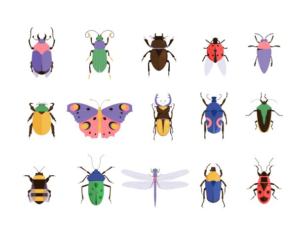 矢量插图的错误。昆虫。甲虫图标集合图片下载