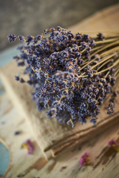 乡村背景上的干薰衣草束图片下载