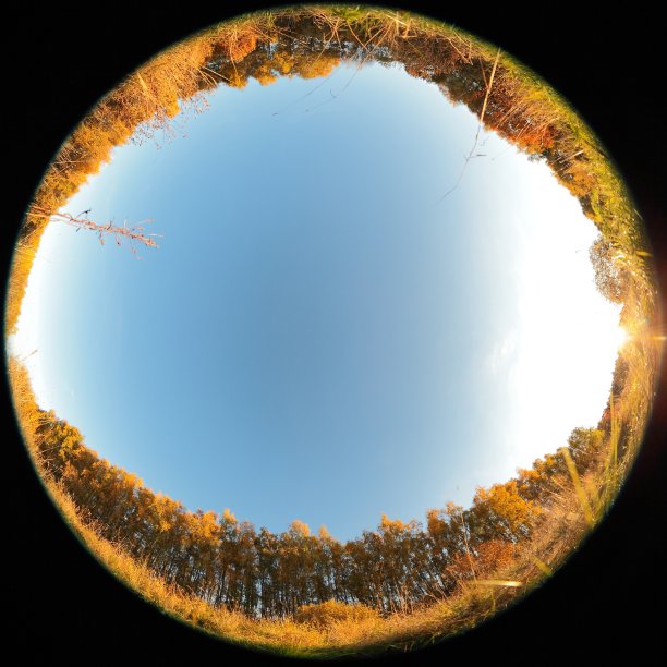 秋天。在天空。用鱼眼镜头拍摄，以达到特殊的平板效果。新鲜的空气，清澈的蓝天和初秋的感觉。图片下载