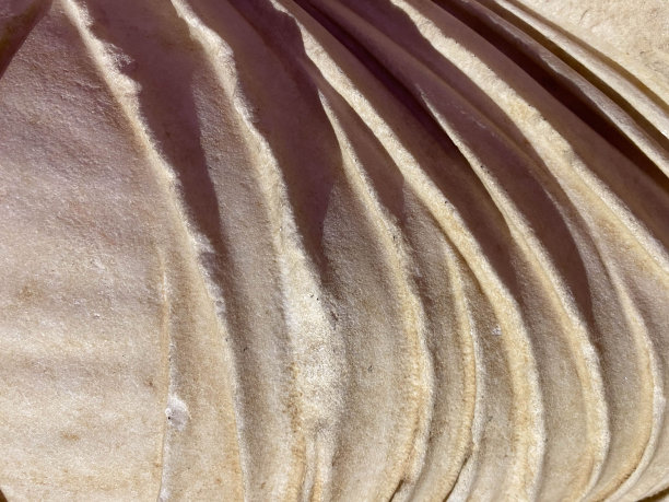 近距离模糊带纹理的弧形石材是为室内建筑制作的。浪石造墙图片下载