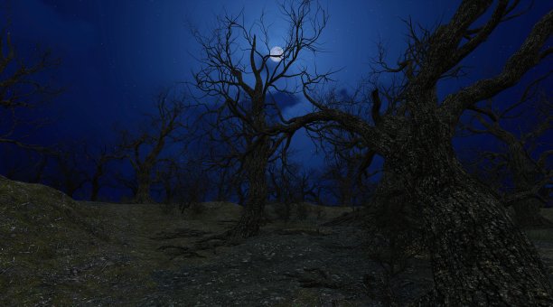 可怕的夜晚森林与满月3d插图图片下载