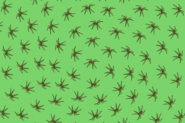 由绿色背景上的黑色蜘蛛做成的图案。万圣节恐怖噩梦的概念。图片下载