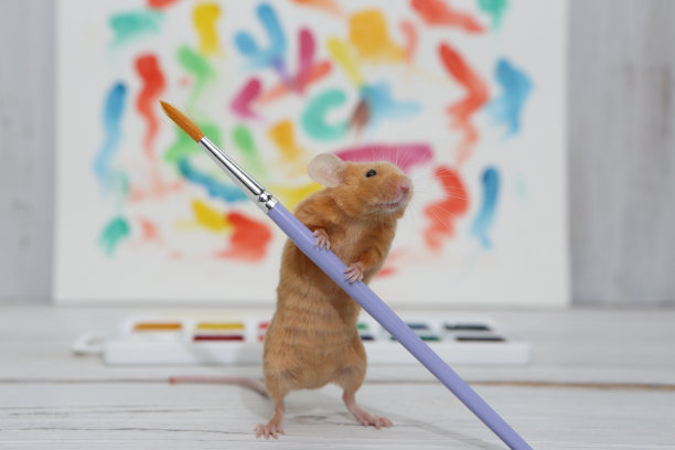 有才华的动物。用水彩颜料画老鼠。家庭艺术家与刷子。艺术宠物，可爱老鼠。人才,爱好。画动物，画动物。画家。天才老鼠了。创造力与油漆图片下载