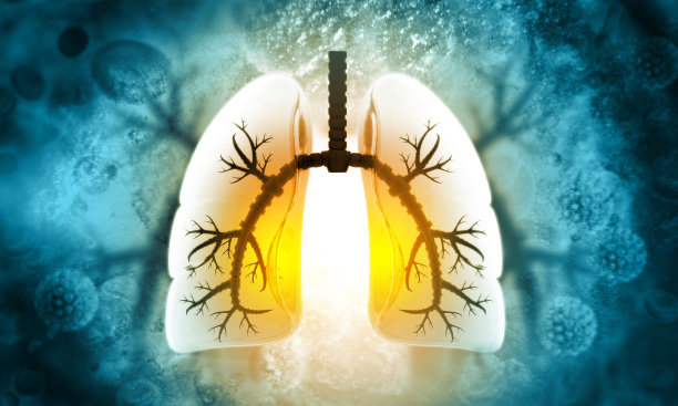 科学背景下的人类肺的三维插图图片下载