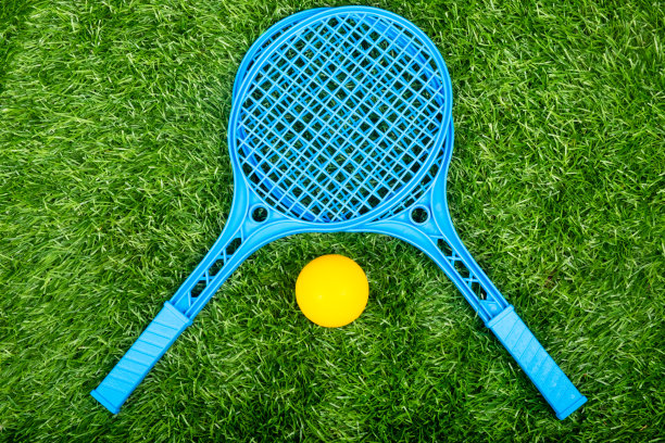 孩子们在绿色的草坪上玩网球拍和球，进行夏季户外体育活动图片下载