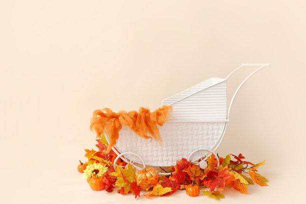 新生数字背景与秋天的项目和南瓜图片下载