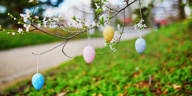 盛开的苹果树枝上装饰着复活节彩蛋图片下载