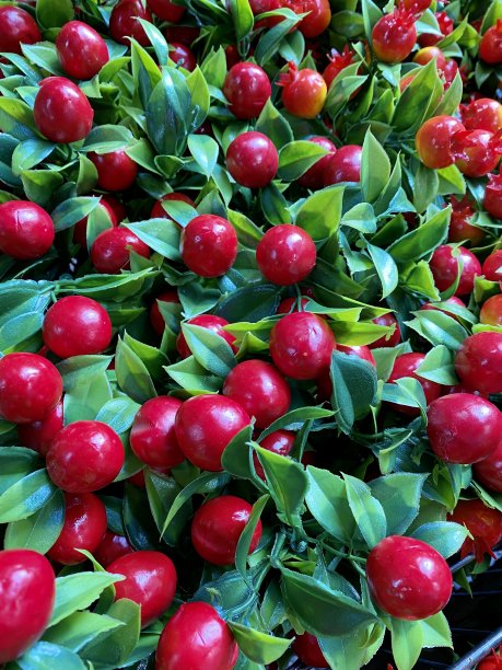 红色水果背景为新年，为圣诞节图片下载