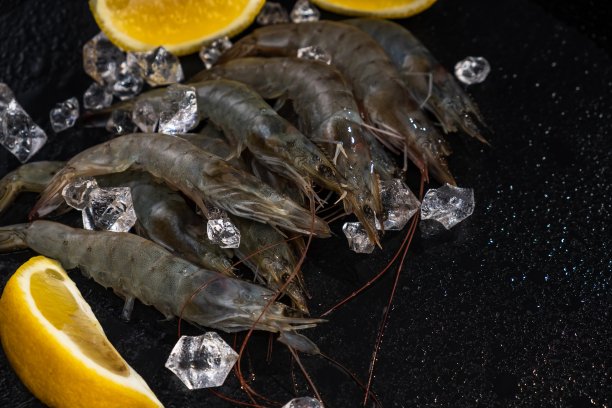 虾，海鲜，海虾，虾粉。贝类美味图片下载