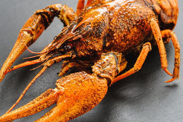 水煮小龙虾躺在天然的石板盘上。俄罗斯菜，波兰菜，芬兰菜，希腊菜图片下载