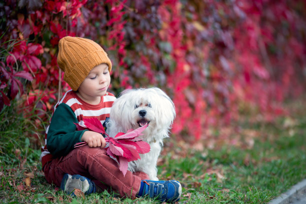 可爱的幼儿抱着树叶，坐在秋天的公园里图片下载