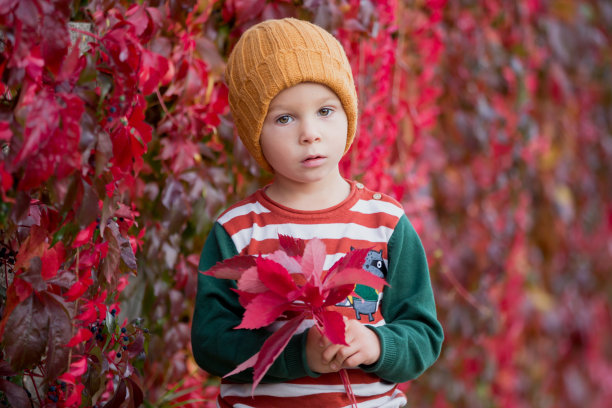 可爱的幼儿抱着树叶，坐在秋天的公园里图片下载