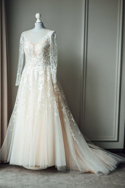 模特穿着别致的婚纱。新娘准备戴上它图片下载