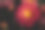公园里有各种各样的菊花图片下载