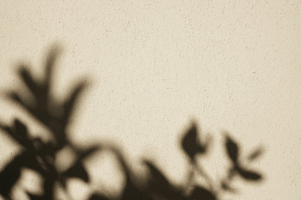 抽象自然叶子阴影背景上米色墙面纹理，复制空间。图片下载