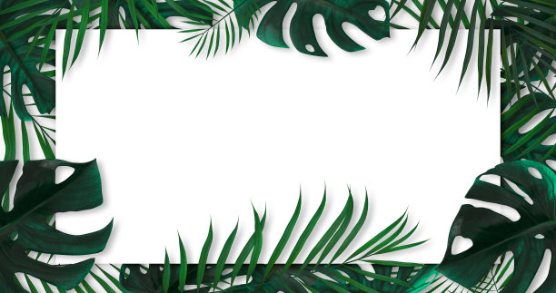 现代绿叶背景与白色空白- 3D插图图片下载