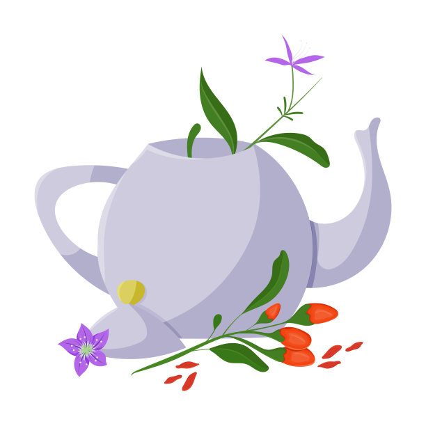 枸杞植物与茶壶彩色插图。孤立的向量。图片下载