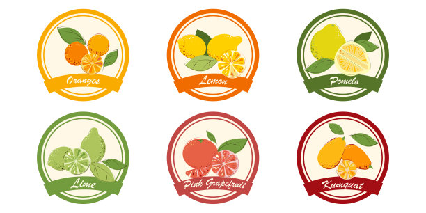 一套柑橘类水果果酱和果酱标签。成熟的果汁维他命水果:金桔，柚子，柠檬，橙子，酸橙，粉红葡萄柚。平的风格。矢量插图。图片下载