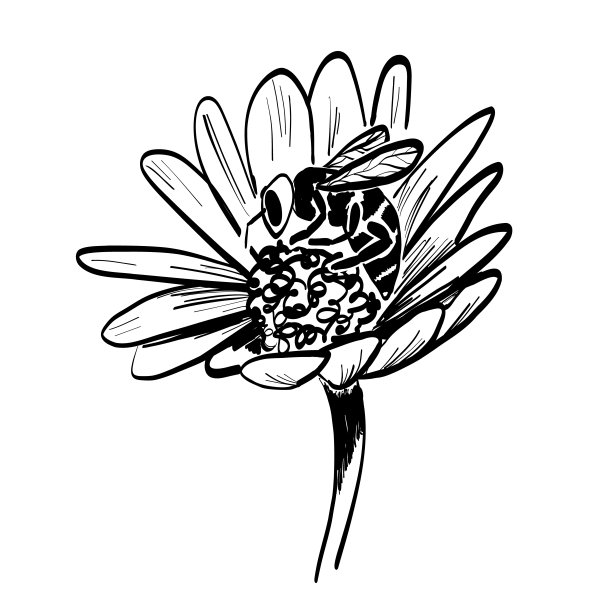 蜜蜂啜花采蜜。生态系统健康的象征。素描矢量插图。图片下载