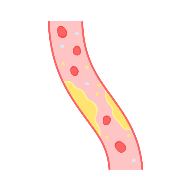 彩色血管与胆固醇图片下载