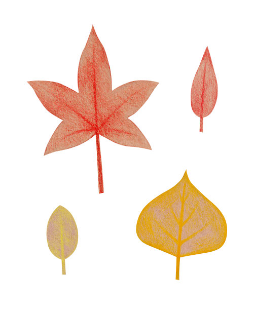手绘红枫和黄杨叶子，纹理粗糙图片下载