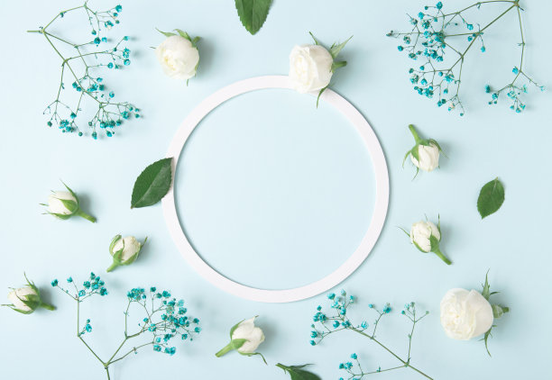由白色圆形框架、白色玫瑰和蓝色花朵在柔和的蓝色背景上创作的构图。最小的春花概念。本空间图片下载