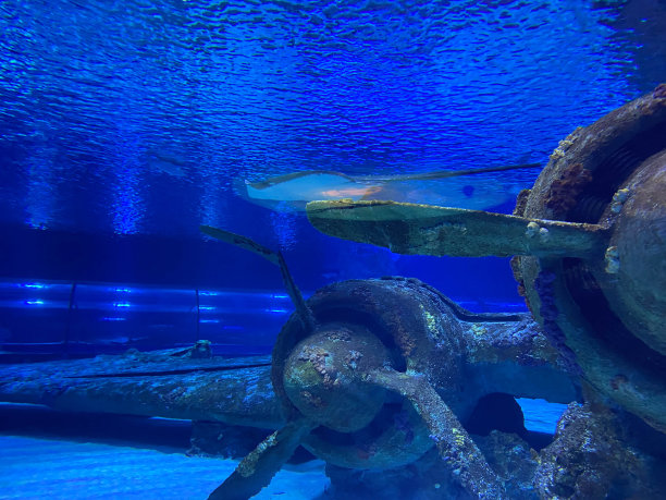 潜水员在水下飞机残骸的喷气发动机下潜水图片下载