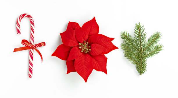 克里茨马斯的构图是一品红、棒棒糖、云杉树枝在浅色背景上。图片下载