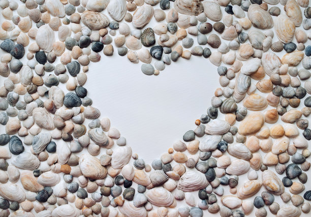 心形的象征是由白色背景上的贝壳做成的。自然纹理，复制空间，布局。从以上观点。心脏病学的概念和海洋娱乐的好处。图片下载